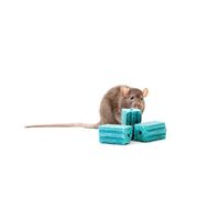 Tomcat All-Weather Blox Rat & Mouse Killer 1.8kg Rodent Bait Blocks